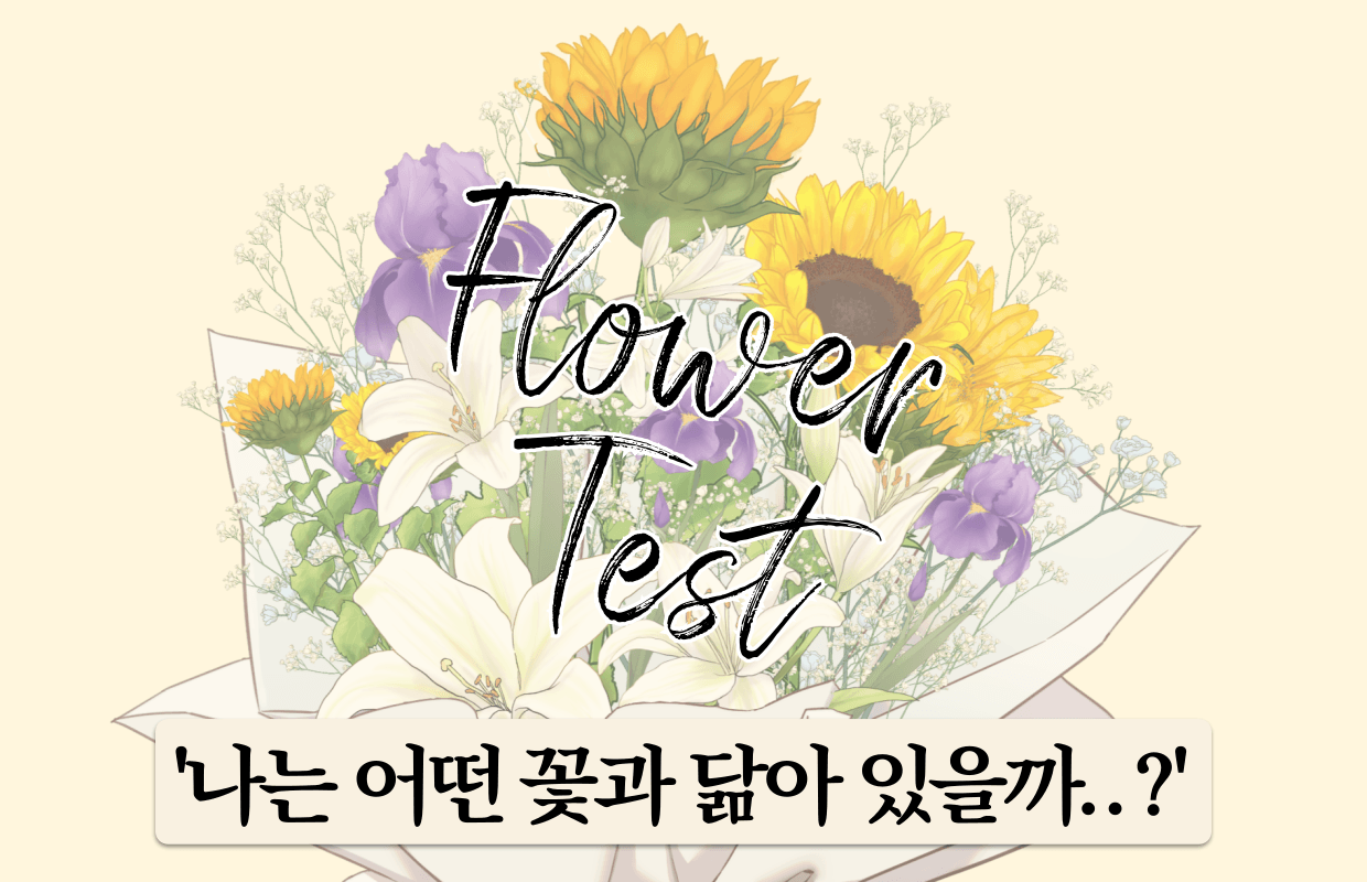 테스트카드